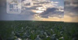 Oportunidade! Fazenda de Café com Difersidade Agrícola e Pecuária 5050 hectares | Região de Araxá/ MG Oportunidade! Fazenda de Café com Difersidade Agrícola e Pecuária 5050 hectares | Região de Araxá/ MG