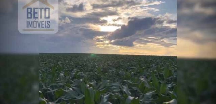 Oportunidade! Fazenda de Café com Difersidade Agrícola e Pecuária 5050 hectares | Região de Araxá/ MG Oportunidade! Fazenda de Café com Difersidade Agrícola e Pecuária 5050 hectares | Região de Araxá/ MG