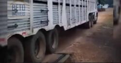 Oportunidade! Fazenda de Café com Difersidade Agrícola e Pecuária 5050 hectares | Região de Araxá/ MG Oportunidade! Fazenda de Café com Difersidade Agrícola e Pecuária 5050 hectares | Região de Araxá/ MG