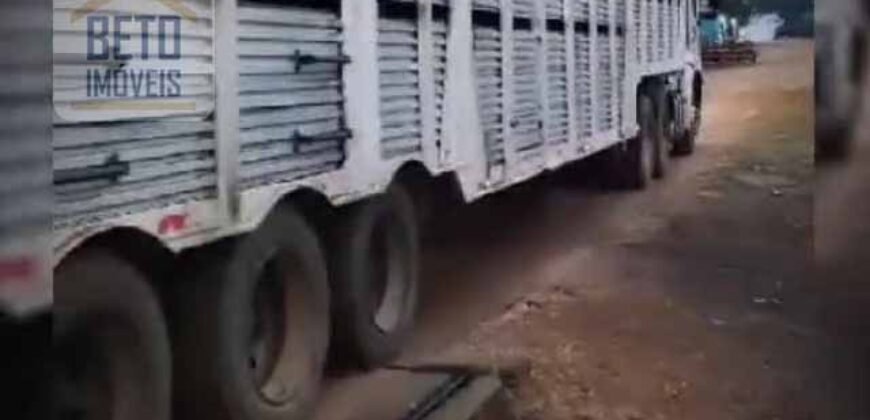 Oportunidade! Fazenda de Café com Difersidade Agrícola e Pecuária 5050 hectares | Região de Araxá/ MG Oportunidade! Fazenda de Café com Difersidade Agrícola e Pecuária 5050 hectares | Região de Araxá/ MG