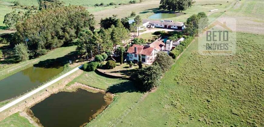 Ótima Fazenda à Venda 78 has Estrutura completa para pecuária ou agricultura Linda casa sede | Região de bagé/ RS