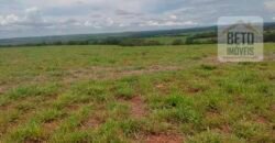 Excelente Fazenda à 3.680 hectares Grande Oportunidade de Negócio | Rondonópolis/ MT