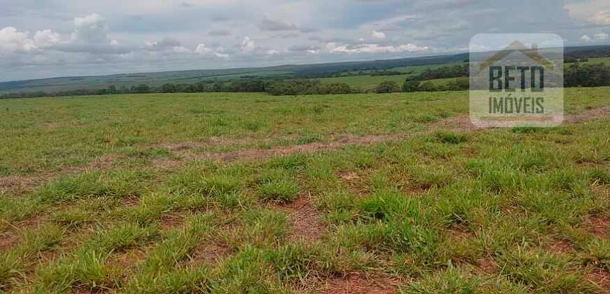 Excelente Fazenda à 3.680 hectares Grande Oportunidade de Negócio | Rondonópolis/ MT