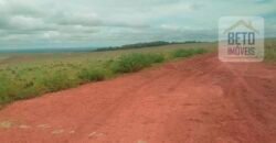 Excelente Fazenda à 3.680 hectares Grande Oportunidade de Negócio | Rondonópolis/ MT