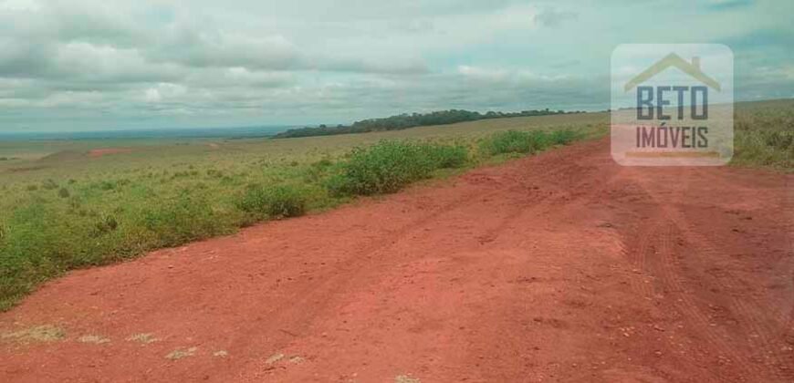 Excelente Fazenda à 3.680 hectares Grande Oportunidade de Negócio | Rondonópolis/ MT