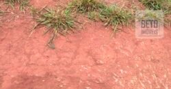 Excelente Fazenda à 3.680 hectares Grande Oportunidade de Negócio | Rondonópolis/ MT