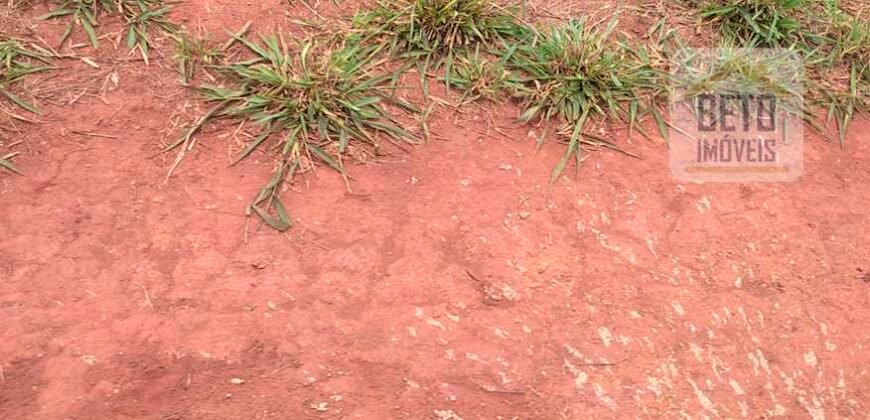 Excelente Fazenda à 3.680 hectares Grande Oportunidade de Negócio | Rondonópolis/ MT