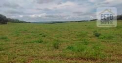 Excelente Fazenda à 3.680 hectares Grande Oportunidade de Negócio | Rondonópolis/ MT