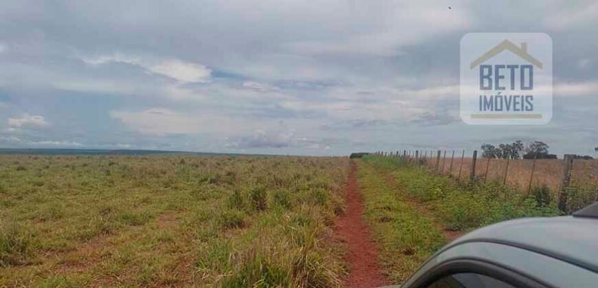 Excelente Fazenda à 3.680 hectares Grande Oportunidade de Negócio | Rondonópolis/ MT