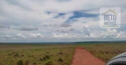 Excelente Fazenda à 3.680 hectares Grande Oportunidade de Negócio | Rondonópolis/ MT
