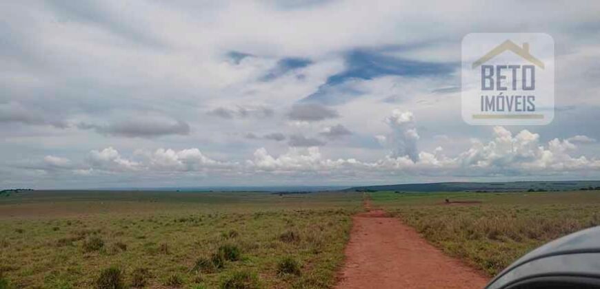 Excelente Fazenda à 3.680 hectares Grande Oportunidade de Negócio | Rondonópolis/ MT