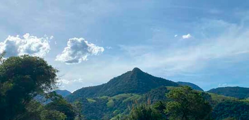 Oportunidade Única: Fazenda 76 alq. Potencial Econômico, Ambiental e Turístico | Casimiro de Abreu/ RJ