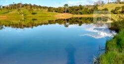 Ótima Fazenda à Venda 1.067 alqueires Pecuária e Lavoura de Eucaliptos | Jacarei/ SP