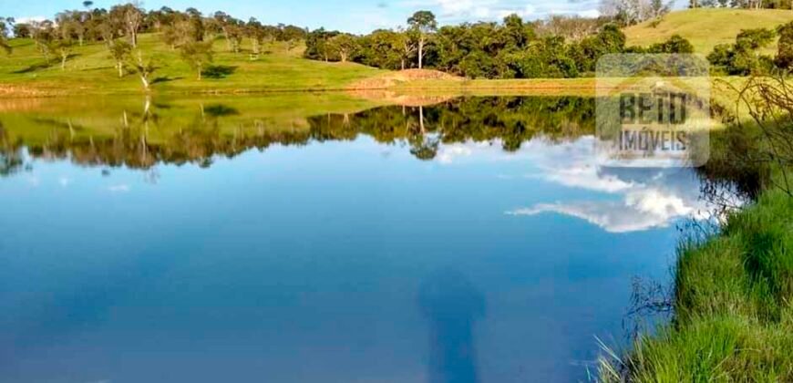 Ótima Fazenda à Venda 1.067 alqueires Pecuária e Lavoura de Eucaliptos | Jacarei/ SP