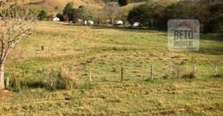 Ótima Fazenda à Venda 1.067 alqueires Pecuária e Lavoura de Eucaliptos | Jacarei/ SP