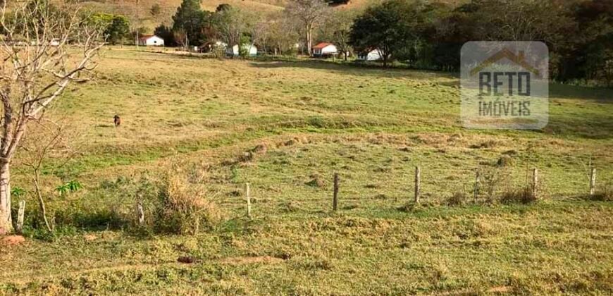 Ótima Fazenda à Venda 1.067 alqueires Pecuária e Lavoura de Eucaliptos | Jacarei/ SP