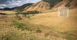 Ótima Fazenda à Venda 1.067 alqueires Pecuária e Lavoura de Eucaliptos | Jacarei/ SP