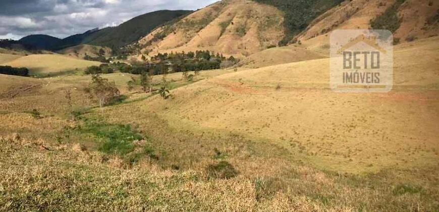 Ótima Fazenda à Venda 1.067 alqueires Pecuária e Lavoura de Eucaliptos | Jacarei/ SP