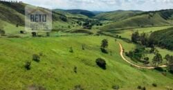 Ótima Fazenda à Venda 1.067 alqueires Pecuária e Lavoura de Eucaliptos | Jacarei/ SP