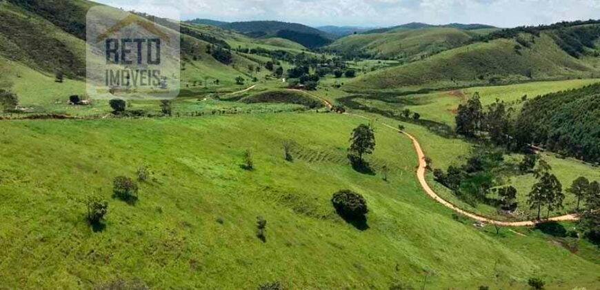 Ótima Fazenda à Venda 1.067 alqueires Pecuária e Lavoura de Eucaliptos | Jacarei/ SP