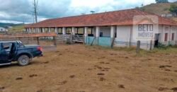 Ótima Fazenda à Venda 1.067 alqueires Pecuária e Lavoura de Eucaliptos | Jacarei/ SP