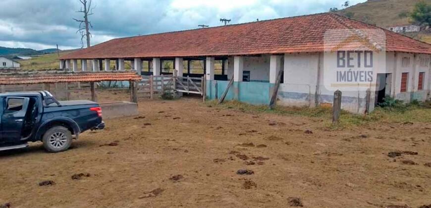 Ótima Fazenda à Venda 1.067 alqueires Pecuária e Lavoura de Eucaliptos | Jacarei/ SP