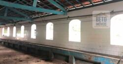 Ótima Fazenda à Venda 1.067 alqueires Pecuária e Lavoura de Eucaliptos | Jacarei/ SP