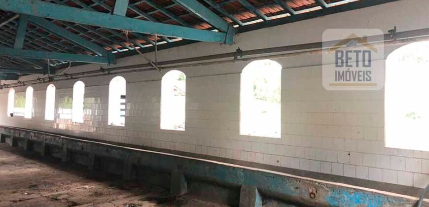 Ótima Fazenda à Venda 1.067 alqueires Pecuária e Lavoura de Eucaliptos | Jacarei/ SP