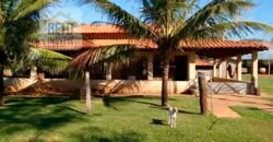 Ótima Fazenda à Venda 1.067 alqueires Pecuária e Lavoura de Eucaliptos | Jacarei/ SP