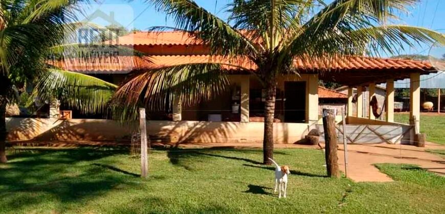 Ótima Fazenda à Venda 1.067 alqueires Pecuária e Lavoura de Eucaliptos | Jacarei/ SP