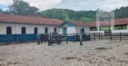 Ótima Fazenda à Venda 1.067 alqueires Pecuária e Lavoura de Eucaliptos | Jacarei/ SP