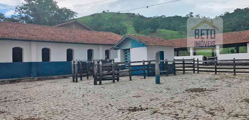 Ótima Fazenda à Venda 1.067 alqueires Pecuária e Lavoura de Eucaliptos | Jacarei/ SP