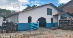 Ótima Fazenda à Venda 1.067 alqueires Pecuária e Lavoura de Eucaliptos | Jacarei/ SP