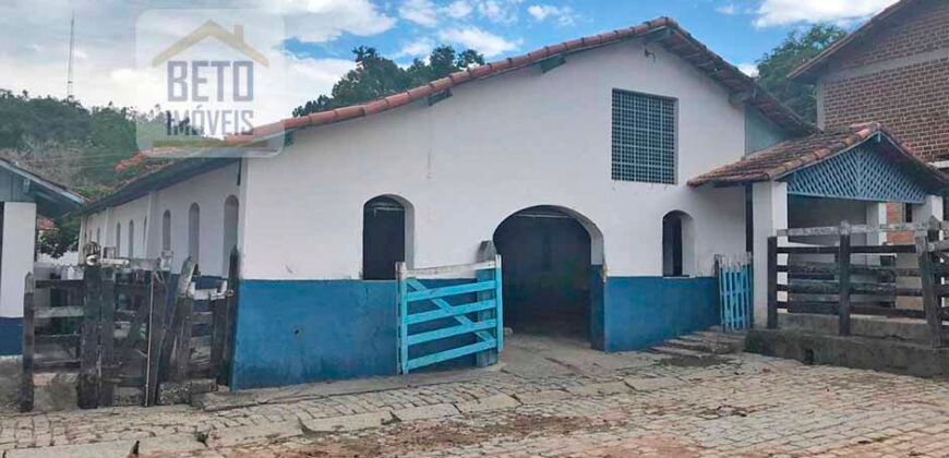 Ótima Fazenda à Venda 1.067 alqueires Pecuária e Lavoura de Eucaliptos | Jacarei/ SP