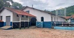 Ótima Fazenda à Venda 1.067 alqueires Pecuária e Lavoura de Eucaliptos | Jacarei/ SP