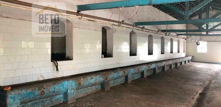 Ótima Fazenda à Venda 1.067 alqueires Pecuária e Lavoura de Eucaliptos | Jacarei/ SP