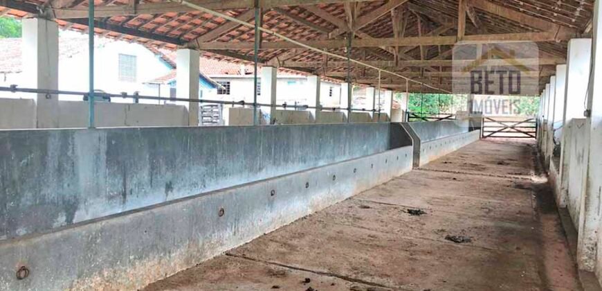 Ótima Fazenda à Venda 1.067 alqueires Pecuária e Lavoura de Eucaliptos | Jacarei/ SP