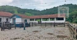 Ótima Fazenda à Venda 1.067 alqueires Pecuária e Lavoura de Eucaliptos | Jacarei/ SP