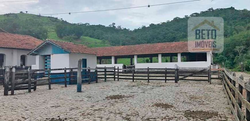 Ótima Fazenda à Venda 1.067 alqueires Pecuária e Lavoura de Eucaliptos | Jacarei/ SP