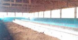 Ótima Fazenda à Venda 1.067 alqueires Pecuária e Lavoura de Eucaliptos | Jacarei/ SP