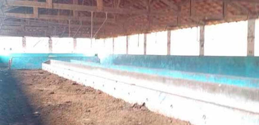 Ótima Fazenda à Venda 1.067 alqueires Pecuária e Lavoura de Eucaliptos | Jacarei/ SP