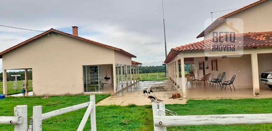 Venda imperdível: Fazenda 1.050 alq. Pecuária Estrutura Completa | Divisa com Goias/ TO