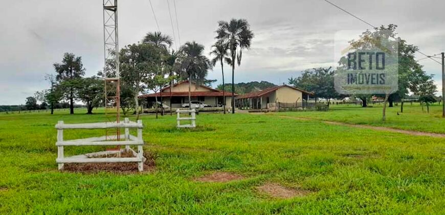 Venda imperdível: Fazenda 1.050 alq. Pecuária Estrutura Completa | Divisa com Goias/ TO