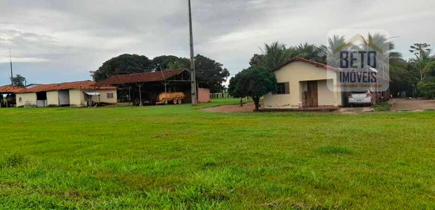 Venda imperdível: Fazenda 1.050 alq. Pecuária Estrutura Completa | Divisa com Goias/ TO