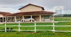 Venda imperdível: Fazenda 1.050 alq. Pecuária Estrutura Completa | Divisa com Goias/ TO