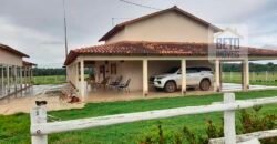 Venda imperdível: Fazenda 1.050 alq. Pecuária Estrutura Completa | Divisa com Goias/ TO