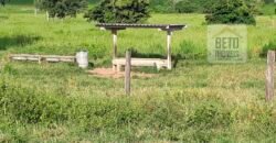 Venda imperdível: Fazenda 1.050 alq. Pecuária Estrutura Completa | Divisa com Goias/ TO