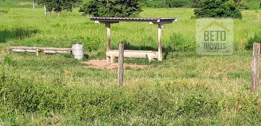 Venda imperdível: Fazenda 1.050 alq. Pecuária Estrutura Completa | Divisa com Goias/ TO