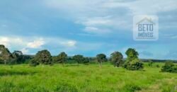 Venda imperdível: Fazenda 1.050 alq. Pecuária Estrutura Completa | Divisa com Goias/ TO