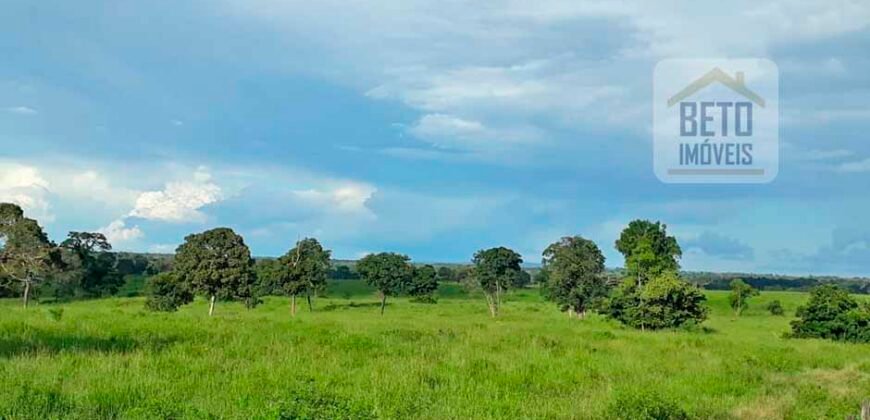 Venda imperdível: Fazenda 1.050 alq. Pecuária Estrutura Completa | Divisa com Goias/ TO